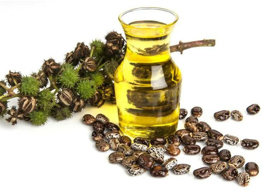 Jamaican black vs regular castor oil