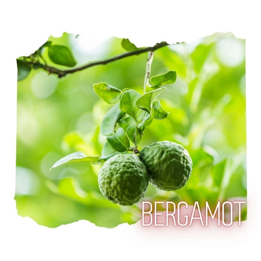 Bergamot Essential Oil 10mL Glass Bottle