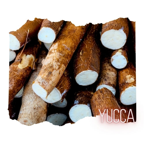 Yucca Powder, Organic